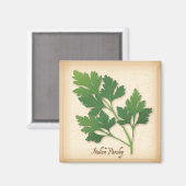 パセリイタリアンハーブ マグネット (正面/裏面)