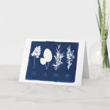 パセリ賢明なローズマリー及びタイムのブランク