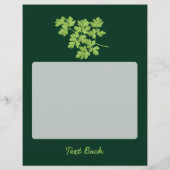 パセリ チラシ (裏面)