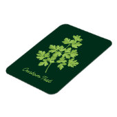 パセリ マグネット (左側)