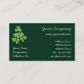 パセリ 名刺 (正面)