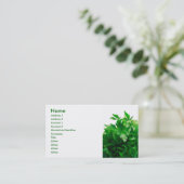 パセリ 名刺 (スタンド正面)