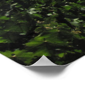 パソ・ローブルズワインカントリーのポスター ポスター (角)