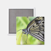 パタコバタフライ マグネット (正面/裏面)