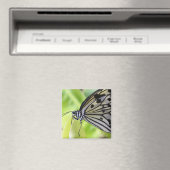 パタコバタフライ マグネット (インサイチュ (食洗機))