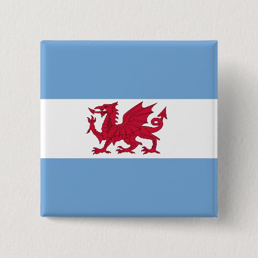 パタゴニアのウェールズのコロニー、アルゼンチンの旗 缶バッジ (正面)