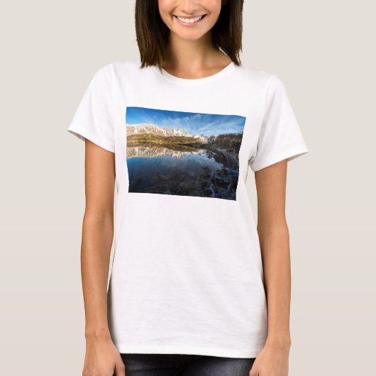 パタゴニアの反射 Tシャツ (正面)