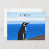 パタゴニアチリ ポストカード (正面/裏面)