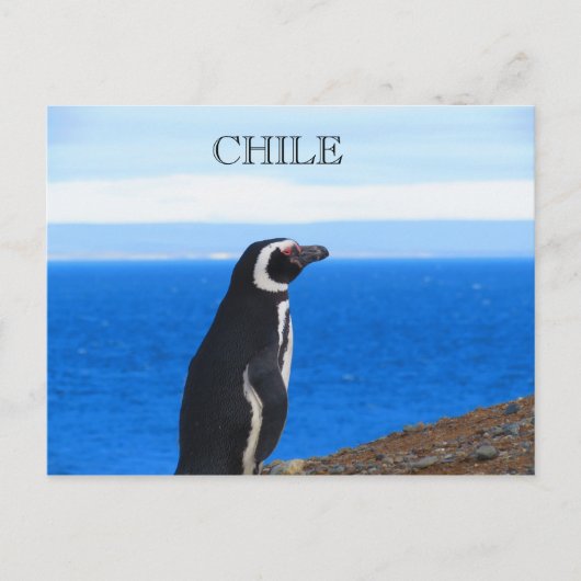 パタゴニアチリ ポストカード (正面)