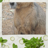 パタゴニアンマラ キッチンタオル (折り畳み)