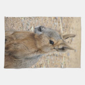 パタゴニアンマラ キッチンタオル (横)