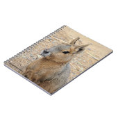 パタゴニアンマラ ノートブック (左側)