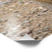 パタゴニアンマラ フォトプリント            (角)