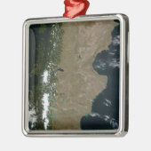 パタゴニア地域の衛星表示 メタルオーナメント (左)