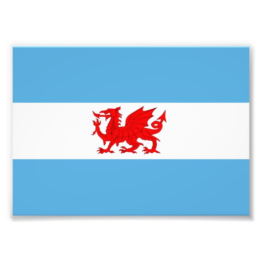 パタゴニア植民地ウェルシュドラゴン国旗 フォトプリント            (正面)