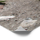 パタゴニア，アンデス山脈 ポスター (角)