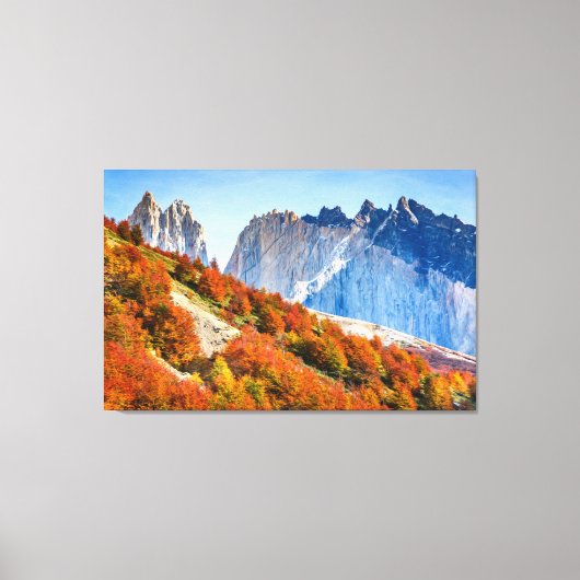 パタゴニア キャンバスプリント (正面)