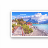 パタゴニア シール (正面)