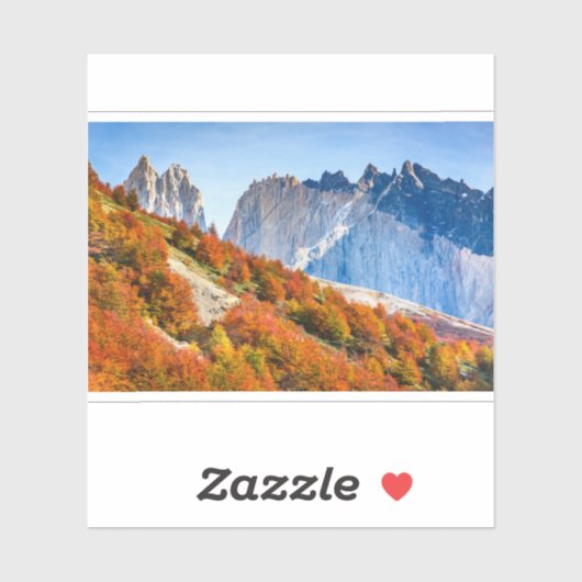 パタゴニア シール (シート)