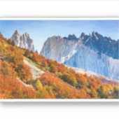 パタゴニア シール (正面)