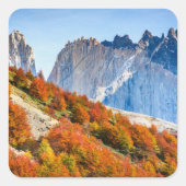 パタゴニア スクエアシール (正面)