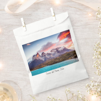 パタゴニア フェイバーバッグ