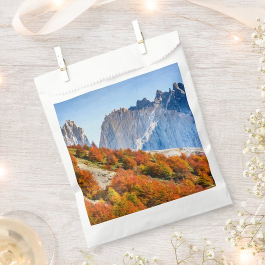 パタゴニア フェイバーバッグ (クリップ留めされた状態)