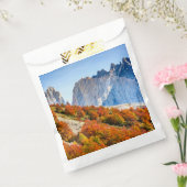 パタゴニア フェイバーバッグ (封をした状態)