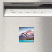 パタゴニア マグネット (インサイチュ (食洗機))