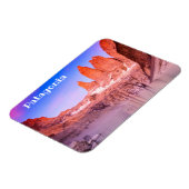 パタゴニア マグネット (左側)