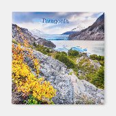 パタゴニア マグネット (正面)