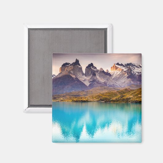 パタゴニア マグネット (正面/裏面)