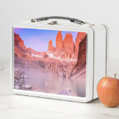 パタゴニア メタルランチボックス (インサイチュ)