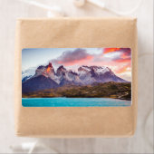 パタゴニア ラベル (インサイチュ)