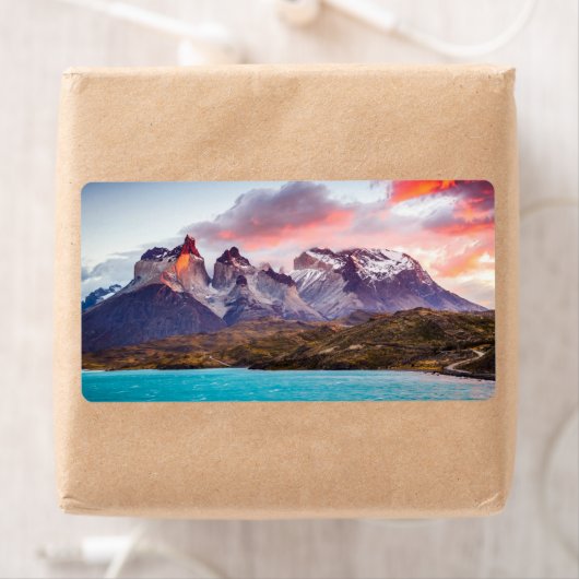 パタゴニア ラベル (インサイチュ)