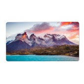 パタゴニア ラベル (正面)