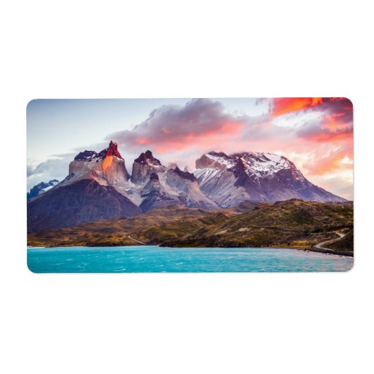 パタゴニア ラベル (正面)