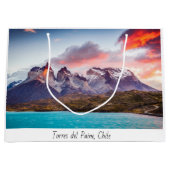 パタゴニア ラージペーパーバッグ (正面)