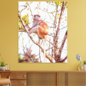 パタスは木に登っている キャンバスプリント (インサイチュ (リビング))