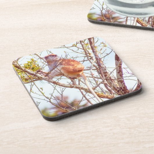 パタスは木に登っている コースター (左側)