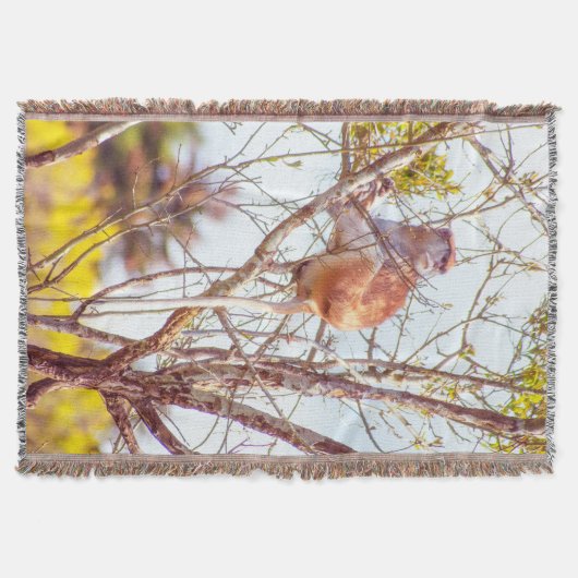 パタスは木に登っている スローブランケット (正面)