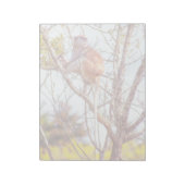 パタスは木に登っている ノートパッド (回転)