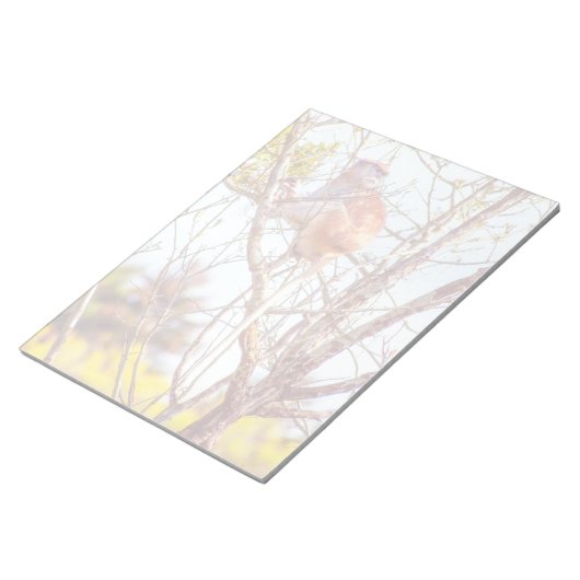 パタスは木に登っている ノートパッド (アングル)