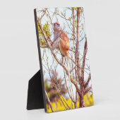 パタスは木に登っている フォトプラーク (側面)