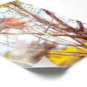 パタスは木に登っている フォトプリント (角)