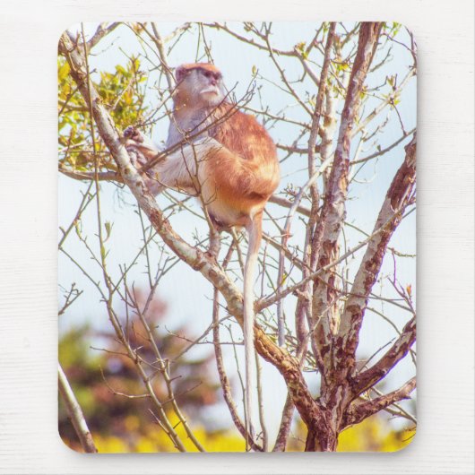 パタスは木に登っている マウスパッド (正面)
