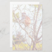 パタスは木に登っている 便箋 (正面/裏面)