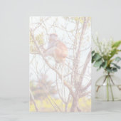 パタスは木に登っている 便箋 (スタンド正面)