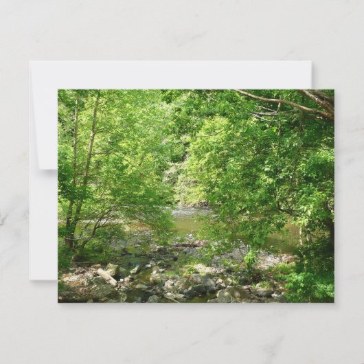 パタスコリバービューメリーランド自然写真 (正面)