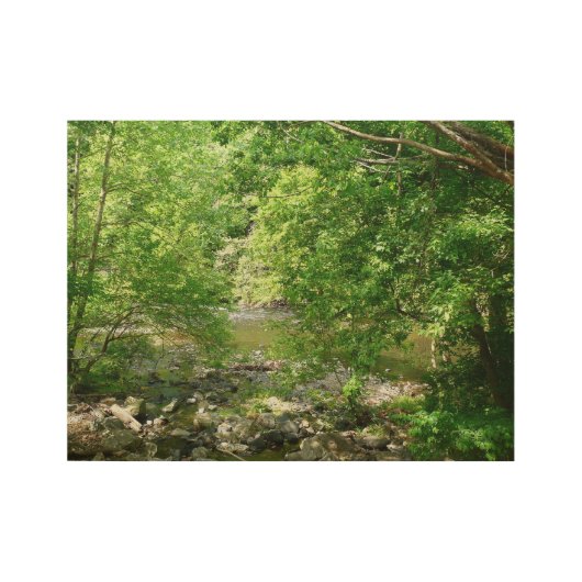 パタスコリバービューメリーランド自然写真 ウッドポスター (正面)